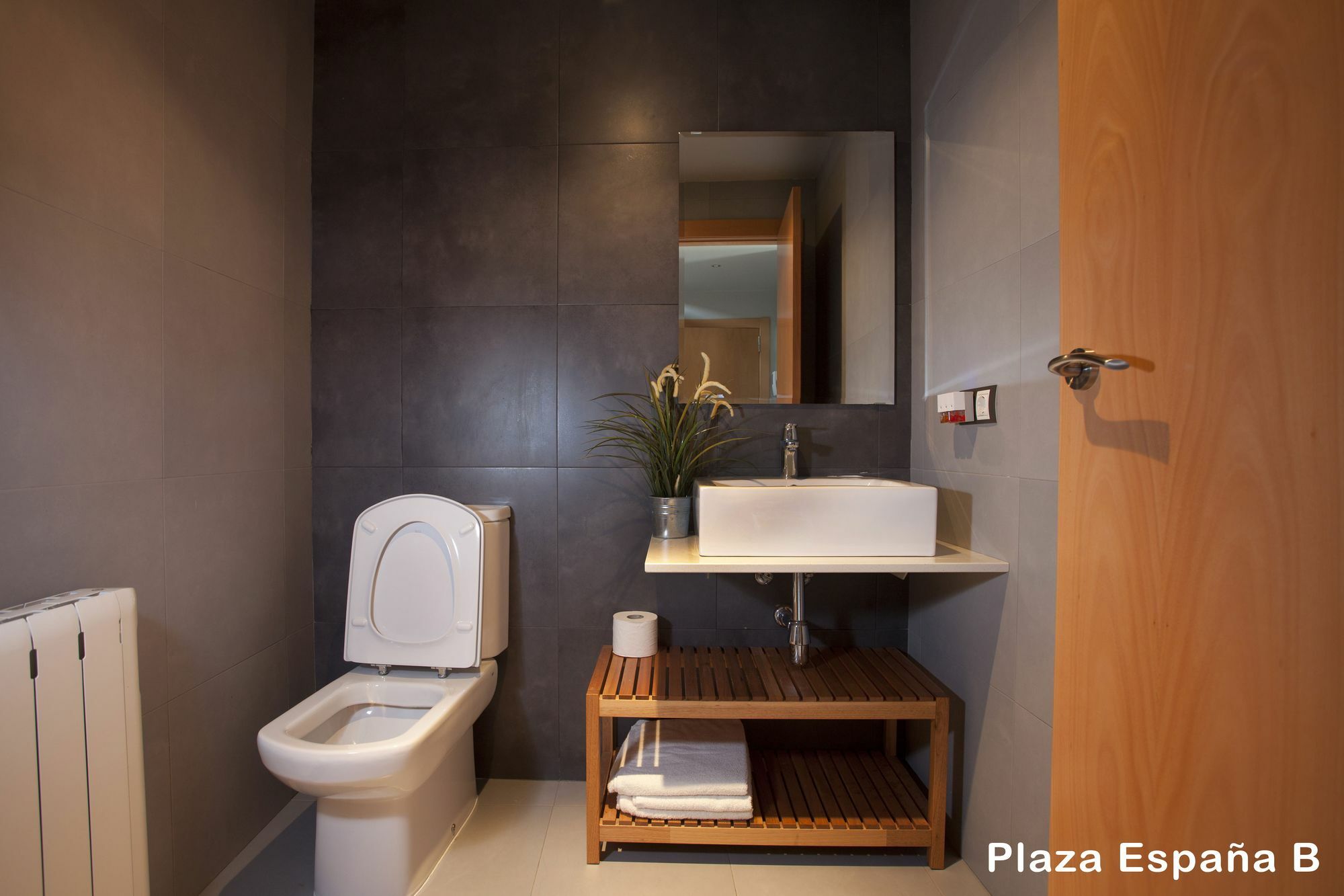Appartamento Plaza Espana Barcellona